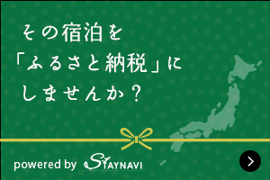 ふるさと納税スティナビ